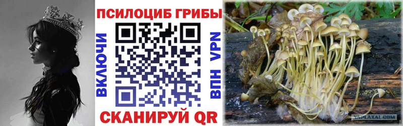 купить закладку  Новопавловск  Галлюциногенные грибы ЛСД 